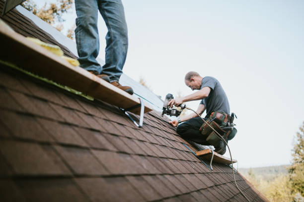 Quick and Trustworthy Emergency Roof Repair Services in Kealakekua, HI